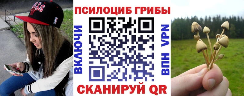 Псилоцибиновые грибы Psilocybine cubensis  Купить  Лыткарино 